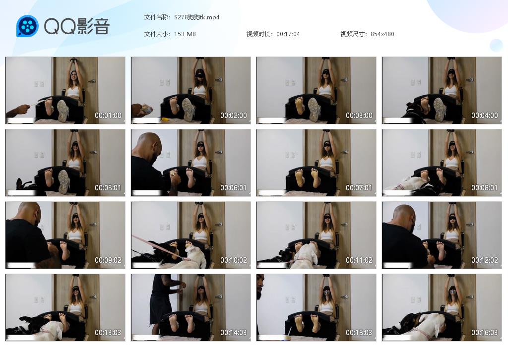 S278狗狗tk[20261009-111915].jpg